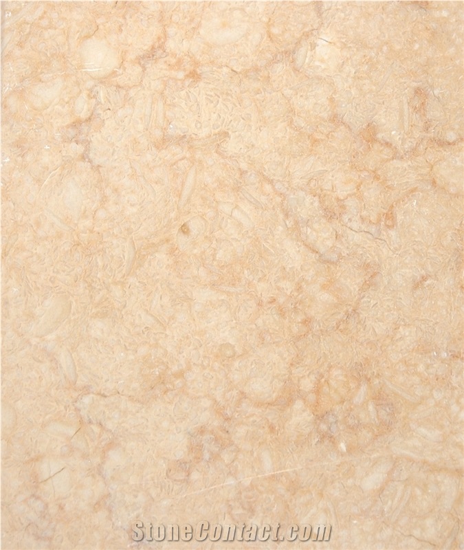 Sunny Marble Slabs & Tiles, Egypt Beige Marble