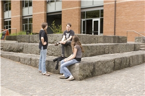 Camas Gray Basalt Steps and Custom Cut Step Slabs.