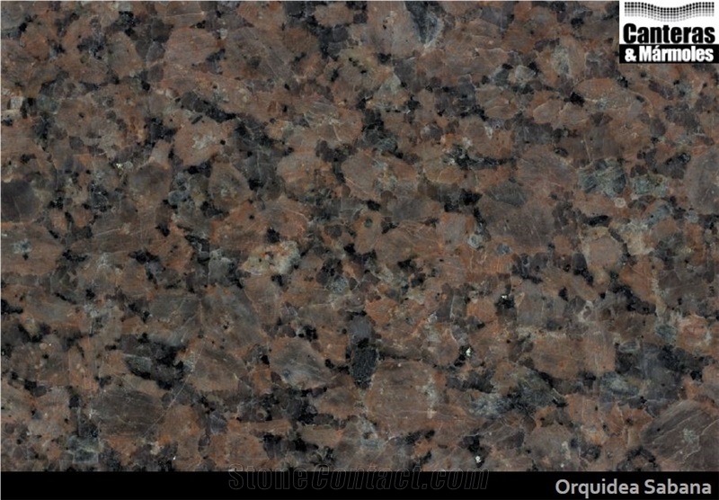 Granito Orquidea Sabana