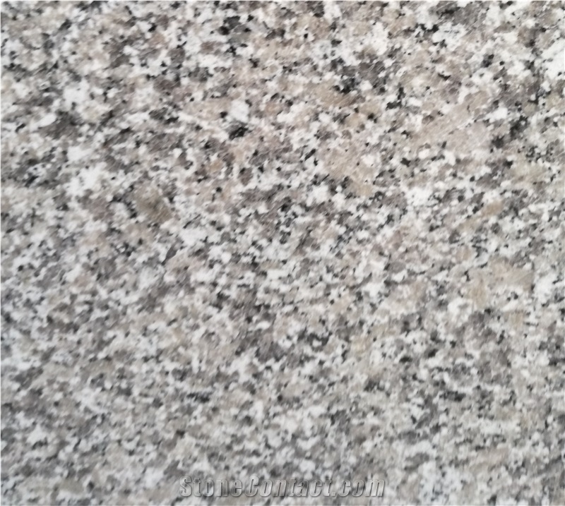 Bianco Sardo M