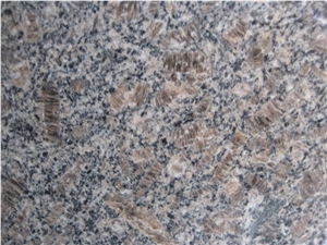 China Royal Brown Granite,Shandong Brown Granite,China Coffee Brown Granite