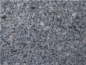 Classic Grey Sesame Granite,Classic Sesame Grey Granite,Gudian Grey,Gudian Hui