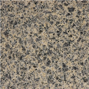 G3742,Leopard Skin,Leopard Skin Granite,Five Lotus,G361 Granite,Leopard Skin Wulian,Leopard Spot,Lotus Purple,Wulian Baopi Hua,Wulian Flower,Wulian Grey,Wulian Hua,Wulian Leopard Skin Flower Granite