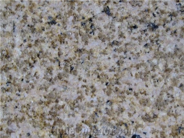 Rust Stone Putian,Putian Gold Granite,G672 Granite,Putian Rust Granite
