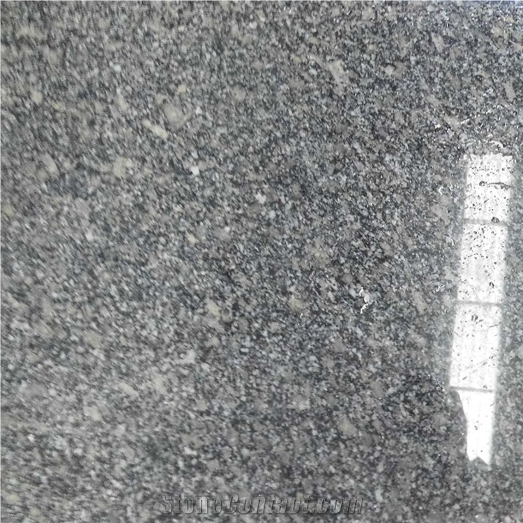 China Cheap Pupular G439 Light Grey/Big Bala White Flower Granite Polished Slabs & Tiles for Wall & Floor Covering, Cladding, Natural Building Stone Decoration, Kitchen Countertops