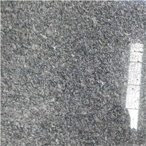 China Cheap Pupular G439 Light Grey/Big Bala White Flower Granite Polished Slabs & Tiles for Wall & Floor Covering, Cladding, Natural Building Stone Decoration, Kitchen Countertops