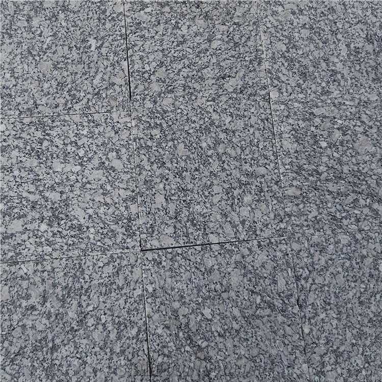 China Cheap Pupular G439 Light Grey/Big Bala White Flower Granite Polished Slabs & Tiles for Wall & Floor Covering, Cladding, Natural Building Stone Decoration, Kitchen Countertops