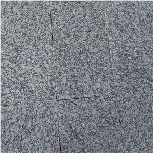 China Cheap Pupular G439 Light Grey/Big Bala White Flower Granite Polished Slabs & Tiles for Wall & Floor Covering, Cladding, Natural Building Stone Decoration, Kitchen Countertops