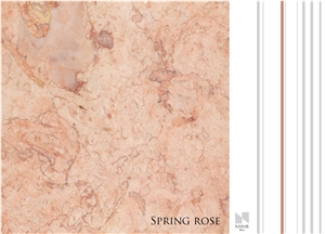 Spring Rose