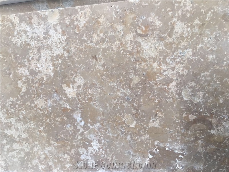 Jura Grey,Jura Grey Blue,Jura Graugelb,Hampton Gray,Jura Blue Grey,Treuchtlinger Kalkstein,Treuchtlinger Marmor,Jura Graublau Dunkel,Jura Grau Blau,Jura Graublau Hell,Jura Gray,Jura Grey Limestone