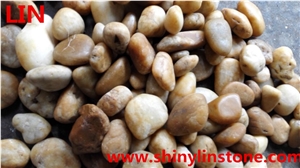 Pebble Stone, Yellow Pebble Stone, Mixed Pebble Stone Pebble Stone, Yellow Pebble Stone, Mixed Pebble Stone