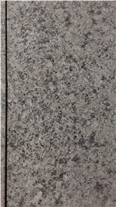 Chinese Bianco Sardo Cheap Grey Granite G623