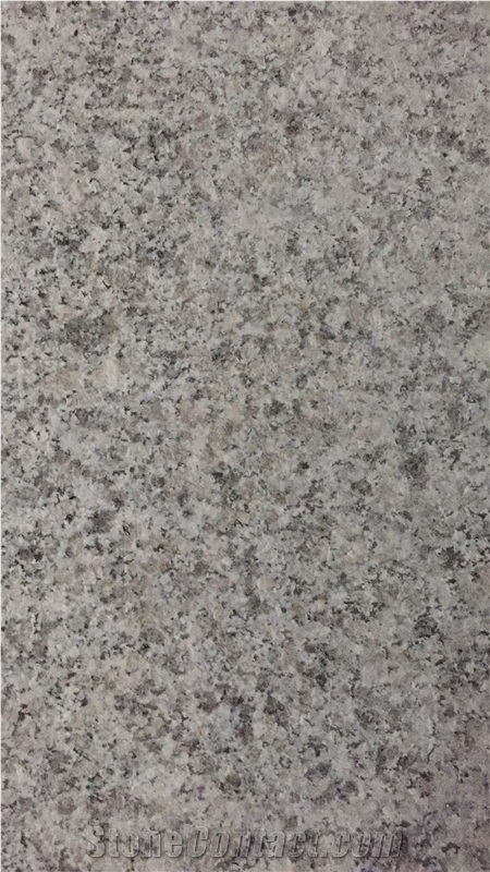 Chinese Bianco Sardo Cheap Grey Granite G623