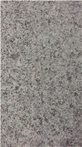 Chinese Bianco Sardo Cheap Grey Granite G623