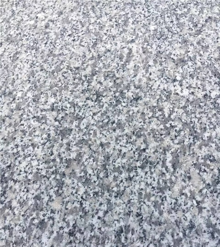 Chinese Bianco Sardo Cheap Grey Granite G623