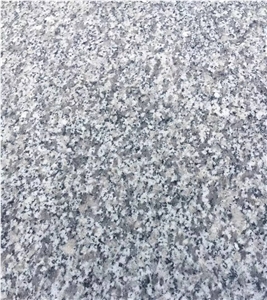 Chinese Bianco Sardo Cheap Grey Granite G623