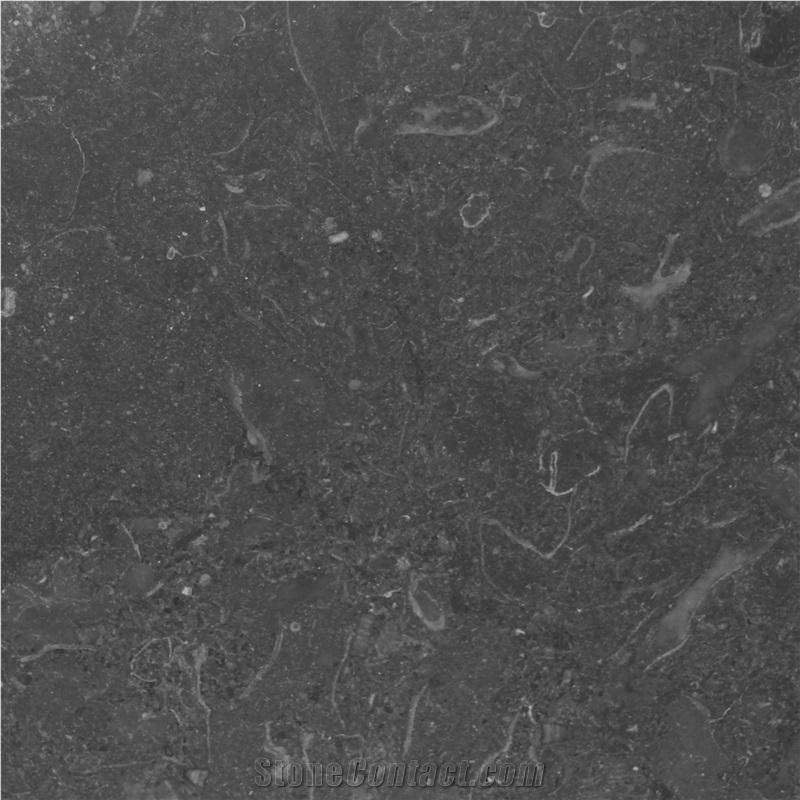 Dark Limestone Slabs & Tiles, Belgium Black Limestone