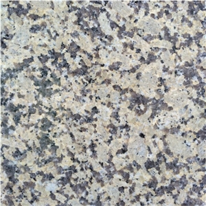 Chrysanthemum Yellow Polished Granite Kitchen Countertop, G703 Counter Top, Mum Yellow Granite