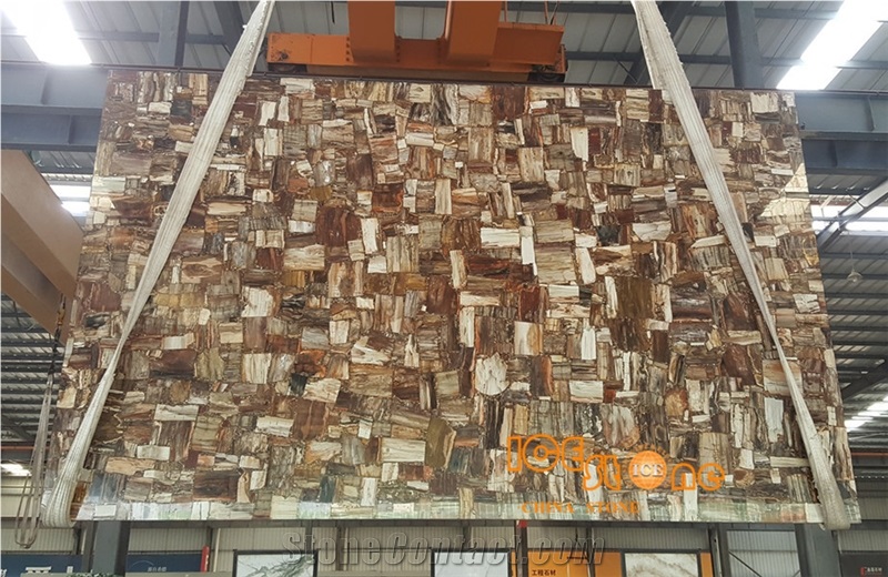 Semi-Precious Peterified Wood/Agete/Lapiz/Crystal/Tiger Eyes Stone Slabs & Tiles/Semi-Precious Luxious/Semi-Precious/Semi-Precious Slabs