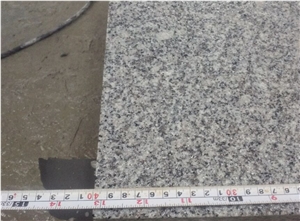 G603 Balma Grey,Padang Light,Sesame White,Padang White,Bianco Amoy,Bianco Crystal,Bianco Gamma,China Crystal,China Grey,China Sardinia,Crystal Grey Paving Stone,Floor Covering,Paving Set