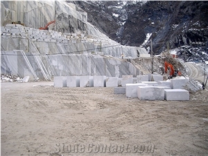 Carrara Marble Block Venato