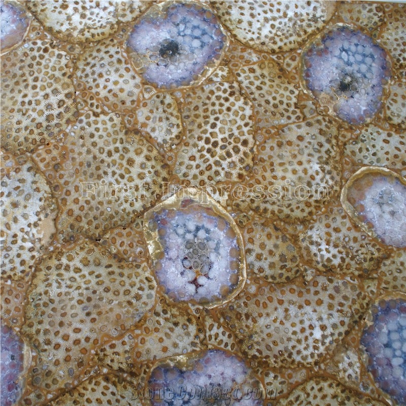 Natural Fossil Withconch/Sea Snail Semi Precious Stone/Wall Gemstone Slabs/Gemstone Tiles/Indoor Decoration Material