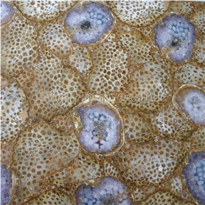 Natural Fossil Withconch/Sea Snail Semi Precious Stone/Wall Gemstone Slabs/Gemstone Tiles/Indoor Decoration Material
