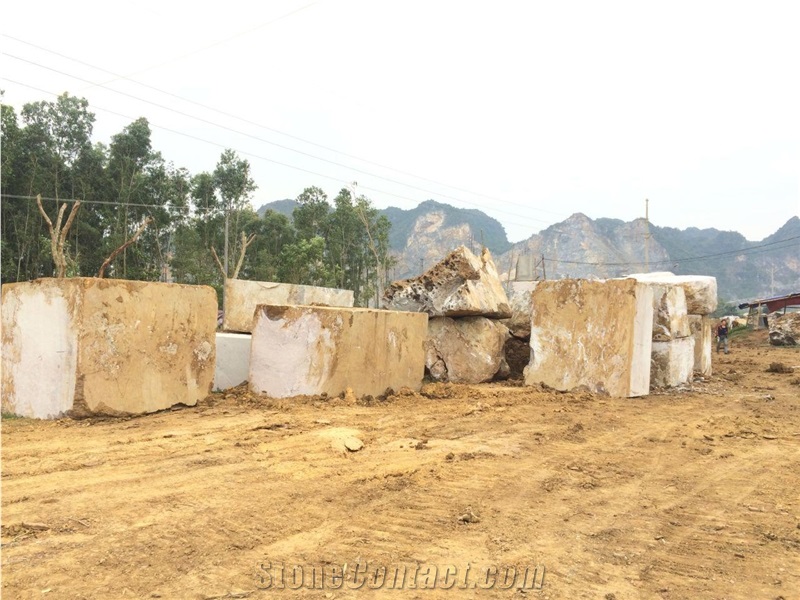 Vietnam Blue Vein Color Block for Export Marble Block