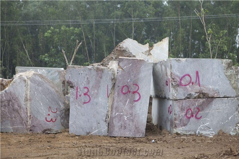 Vietnam Blue Vein Color Block for Export Marble Block
