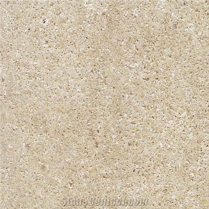 Niwala Crema Limestone