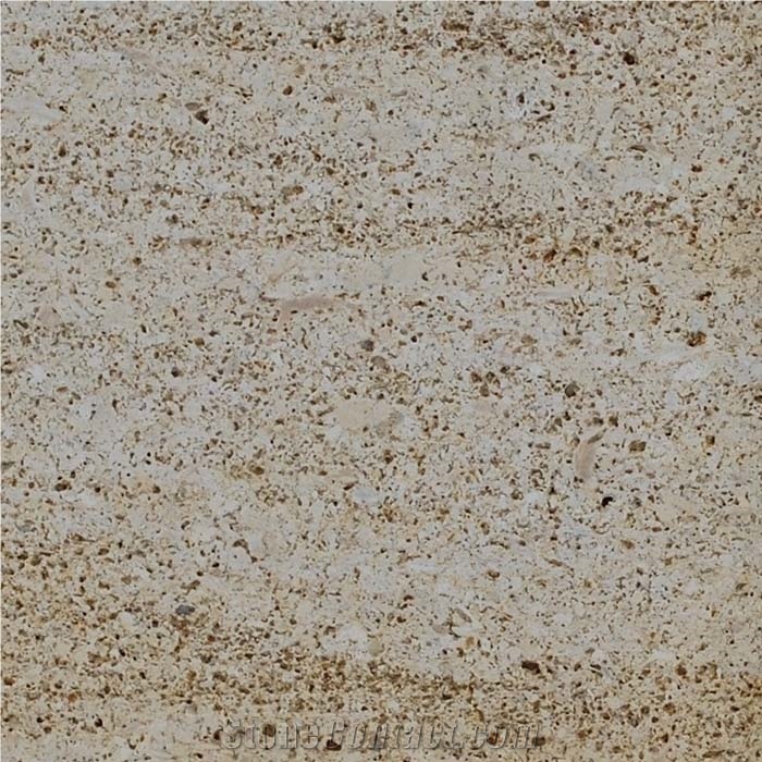Niwala Limestone