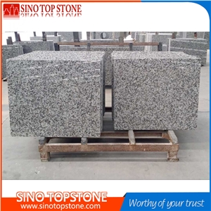 China Bianco Sardo,Big Flower White Granite,Big Flower Granite,Puning White Granite Tiles & Slab