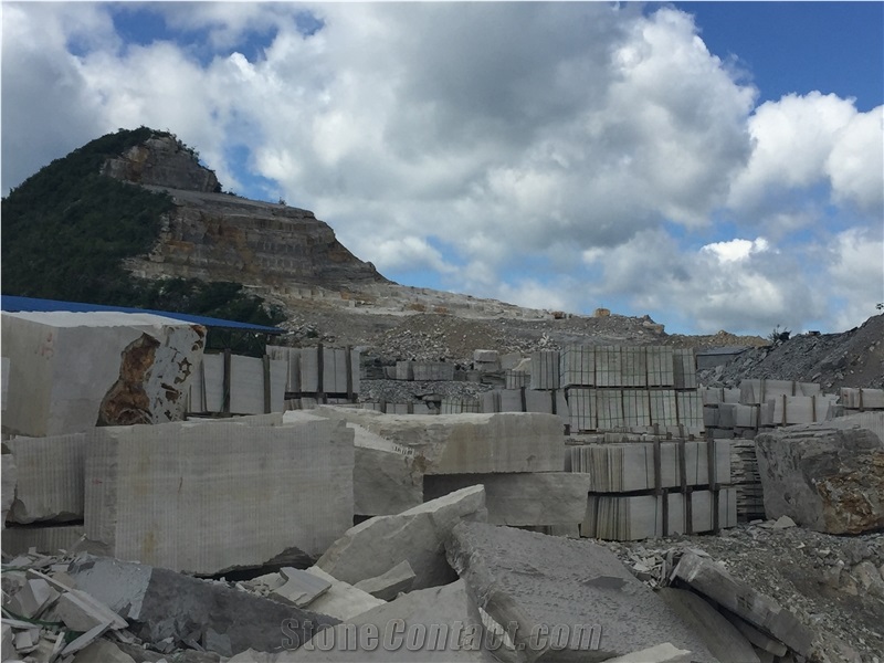 Grey Wood Grain Slab,Block/Silk Georgette Light Grey Wood Grain Vein Marble Tiles/Natural Building Stone Flooring/Feature Wall,Interior Paving,Cladding,Decoration/Quarry Owner