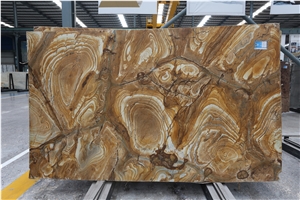 Yellow Luxury Palomino Quartzite Tiles & Slabs/Quartzite Floor Covering/Quartzite Wall Covering/ Flamenco Quartzite/Quartzite Palomino Slabs Yellow Luxury Palomino Quartzite Tiles & Slabs/Quartzite Floor Covering/Quartzite Wall Covering/ Flamenco Quartzite/Quartzite Palomino Slabs