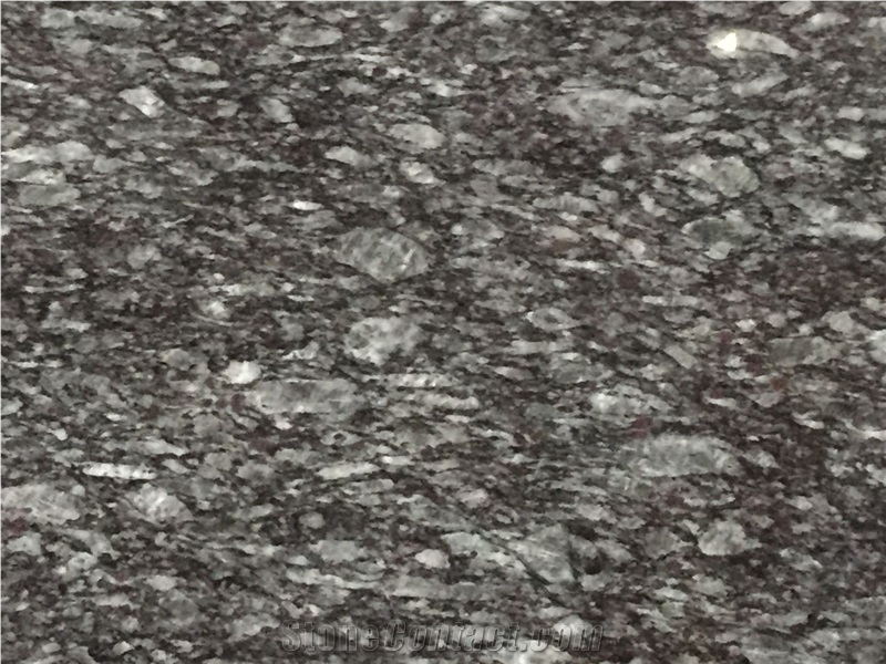 Pigeon Blue Zoomed Pic