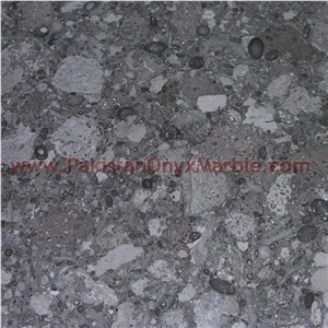 Oceanic Gemstone Corel Marble Tiles Collection