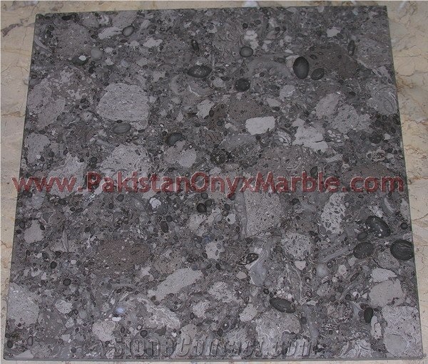Oceanic Gemstone Corel Marble Tiles Collection