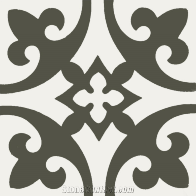 Encaustic Cement Tile Cts
