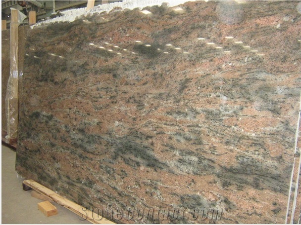 Mew Giallo Cecilia Granite Polished Big Slabs India