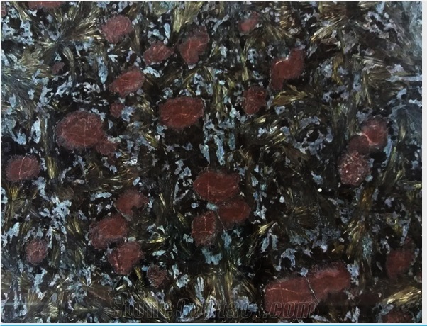 Night Rose Granite Polished Big Slabs, China Black Granite