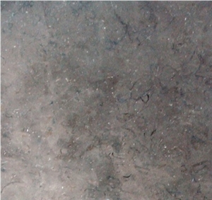 Nile Gray