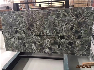 Petrified Wood Semi Precious Stone Slabs & Tiles