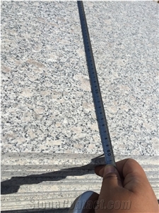 G383 King Flower Grantie Grey Granite Slabs & Tiles