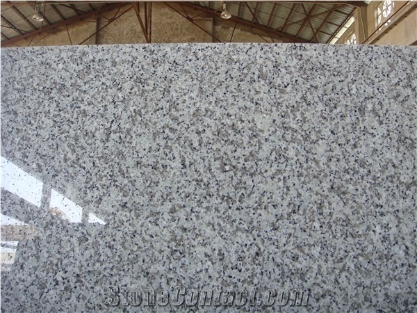 Beta White G439 Granite Tops, Desk Tops, Bench Tops, Chinese Cheap White Granite Countertop,G439 Vanity Top, China Big Flower Granite Top, Grey Granite Countertop,China Bianco Sardo Vanity Top