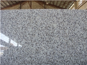 Beta White G439 Granite Tops, Desk Tops, Bench Tops, Chinese Cheap White Granite Countertop,G439 Vanity Top, China Big Flower Granite Top, Grey Granite Countertop,China Bianco Sardo Vanity Top