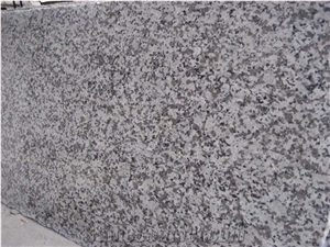 Beta White G439 Granite Tops, Desk Tops, Bench Tops, Chinese Cheap White Granite Countertop,G439 Vanity Top, China Big Flower Granite Top, Grey Granite Countertop,China Bianco Sardo Vanity Top