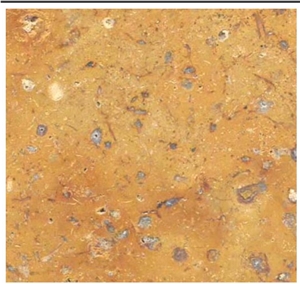 Gold Honed and Polished Travertine