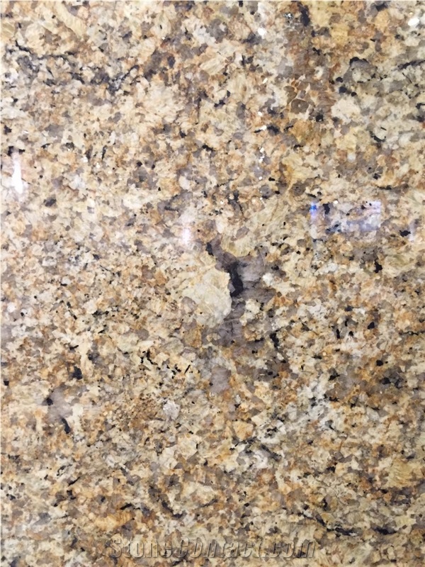 Namib Gold Granite Tile & Slabs, Giallo Namib Granite