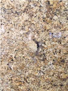 Namib Gold Granite Tile & Slabs, Giallo Namib Granite