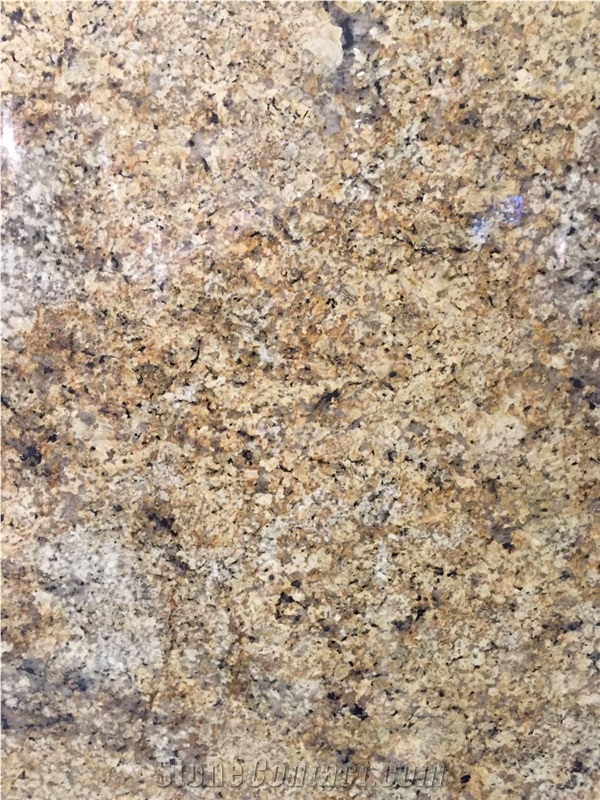 Namib Gold Granite Tile & Slabs, Giallo Namib Granite